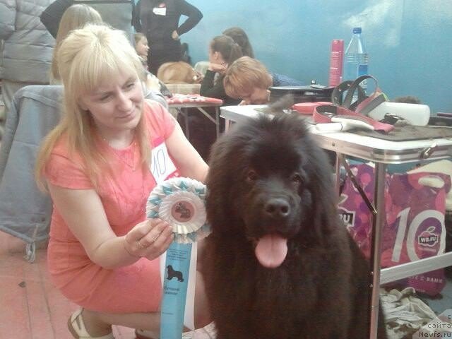 Фотография № 175388