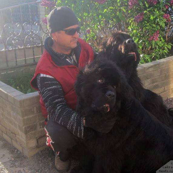 Фотография № 175391