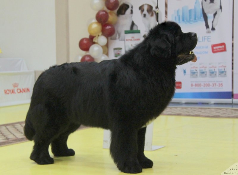 Фотография № 175392