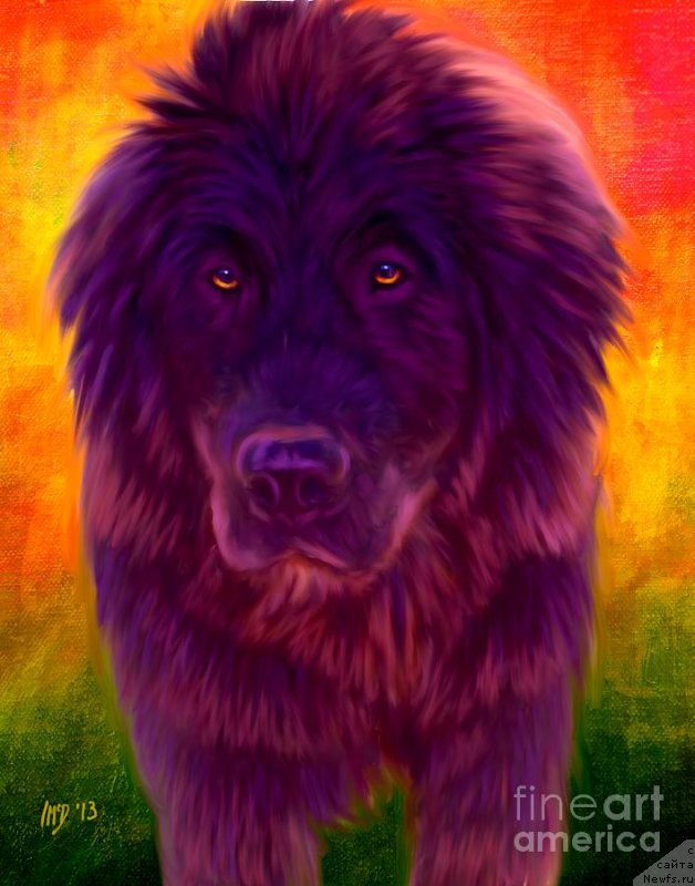 Фотография № 175400