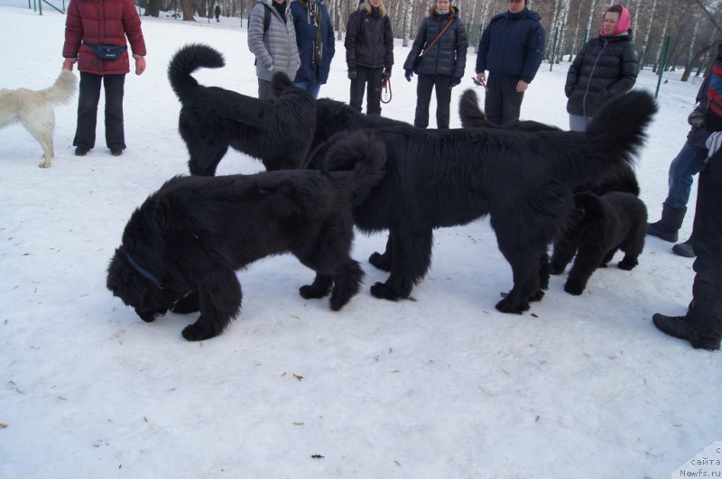 Фотография № 175424