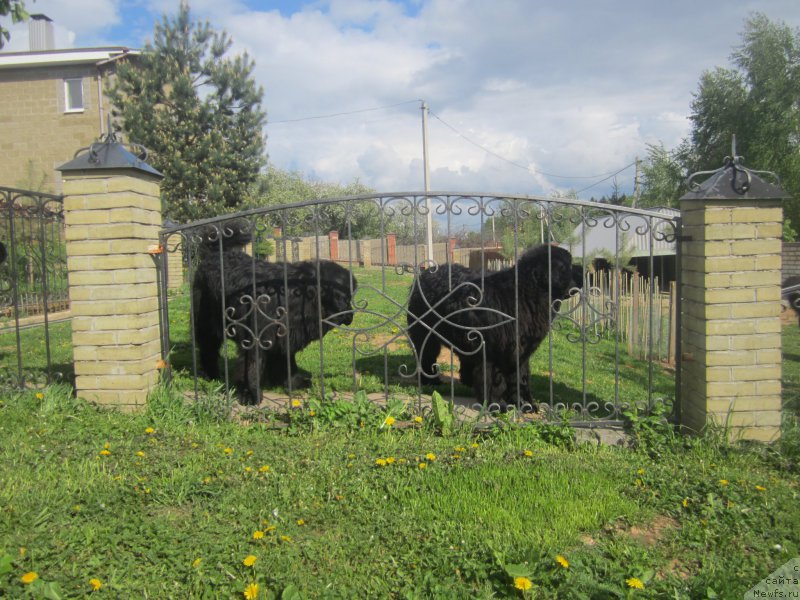 Фотография № 175426