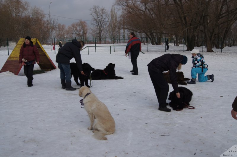 Фотография № 175429