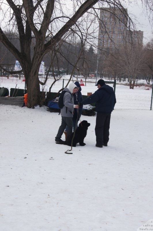 Фотография № 175431