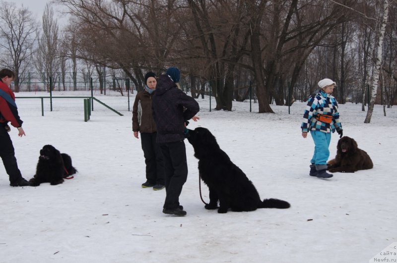 Фотография № 175432