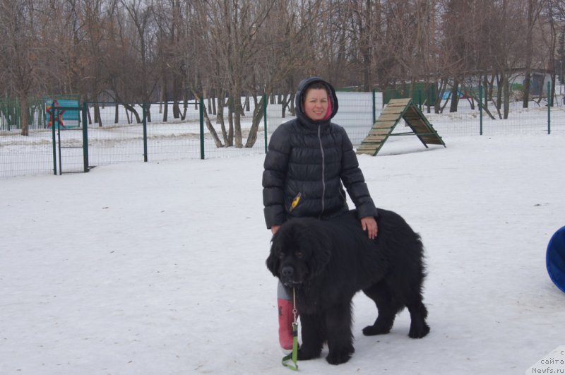 Фотография № 175433