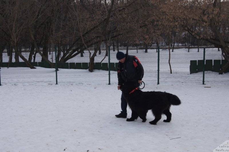 Фотография № 175437