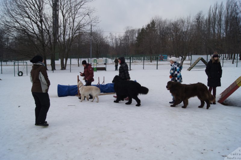 Фотография № 175438