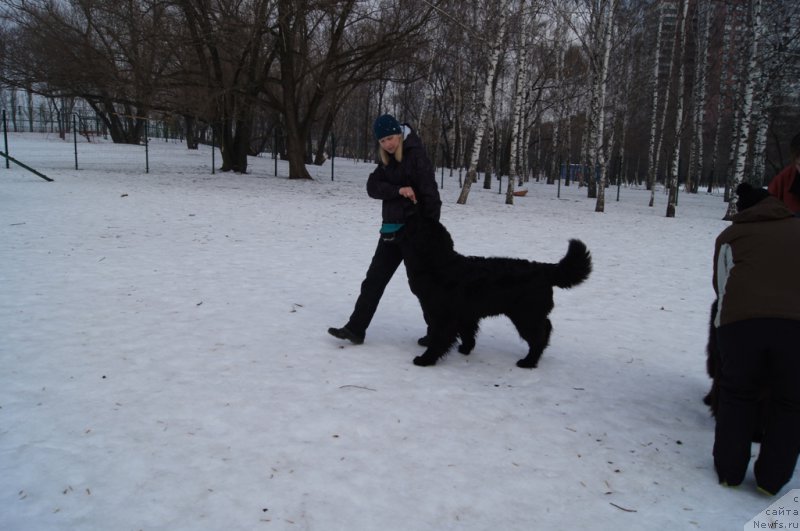 Фотография № 175439