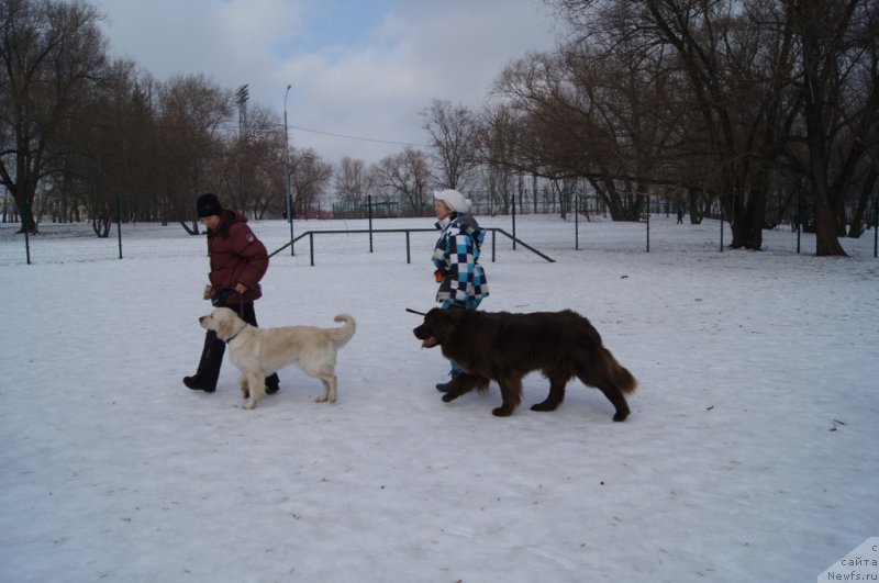 Фотография № 175442