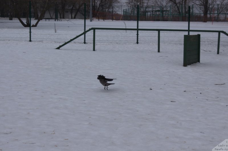 Фотография № 175444