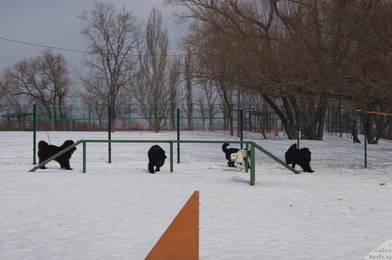 Фотография № 175445