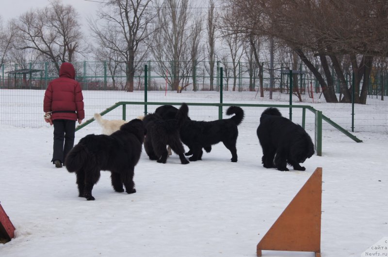 Фотография № 175447