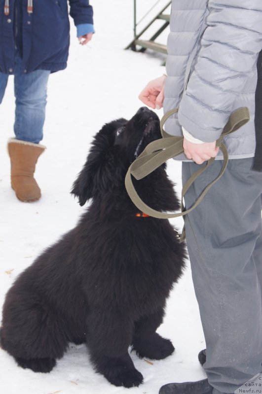 Фото: Акватория Келвин Бавария