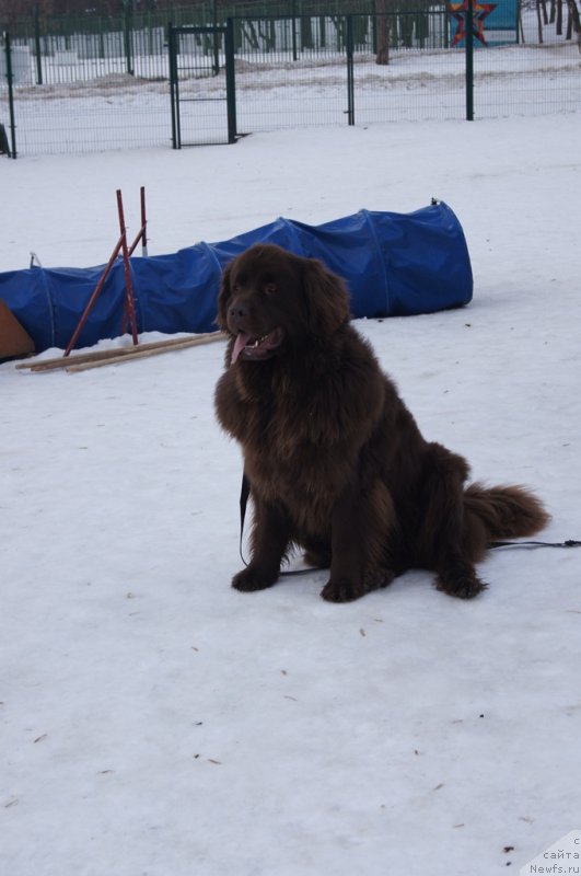 Фотография № 175452