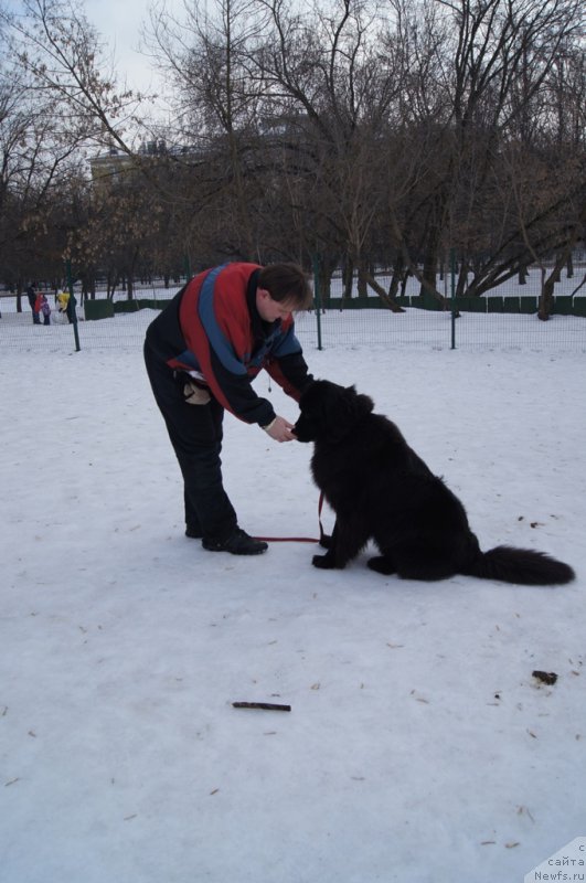 Фотография № 175453