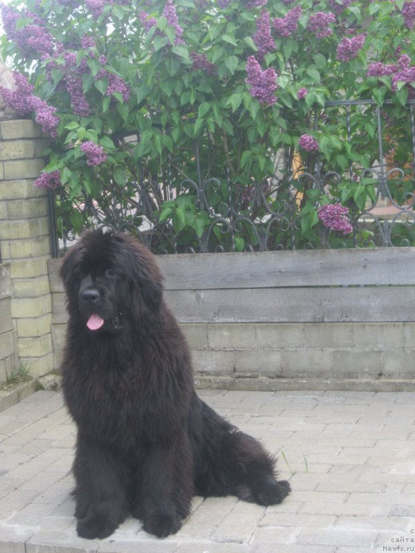 Фотография № 175454