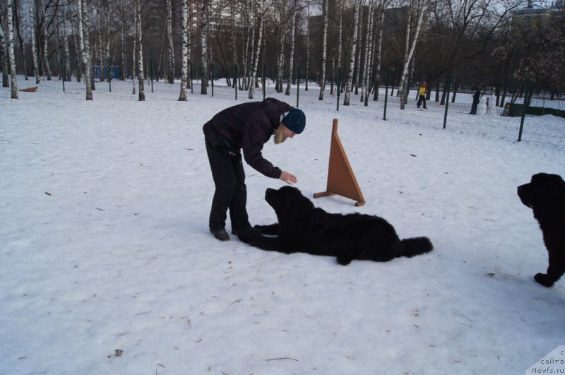 Фотография № 175455