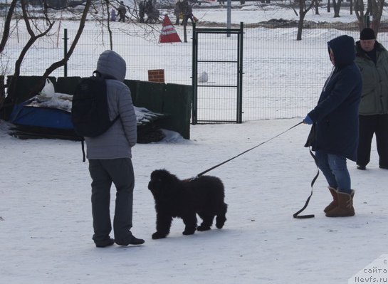 Фотография № 175456