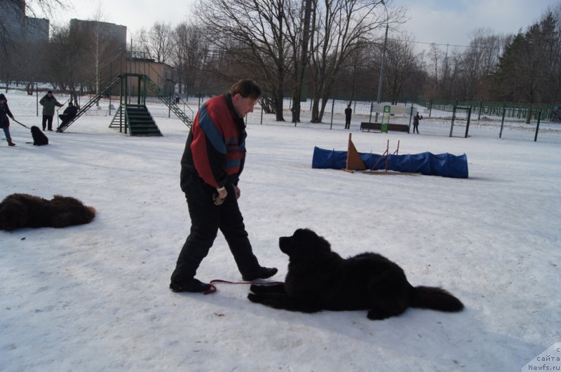 Фотография № 175457