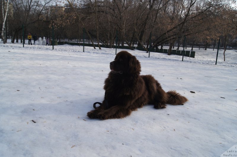 Фотография № 175458