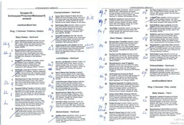 Фотография № 17546