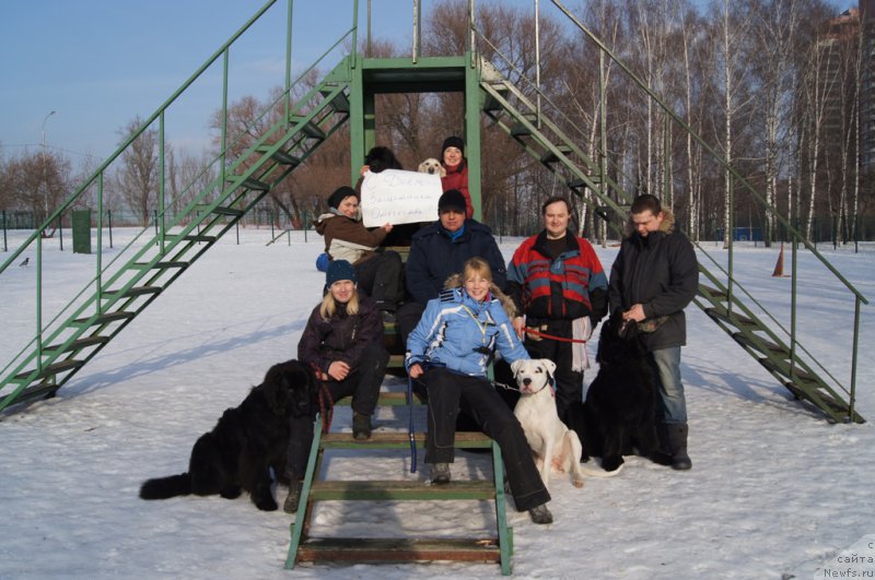 Фотография № 175460