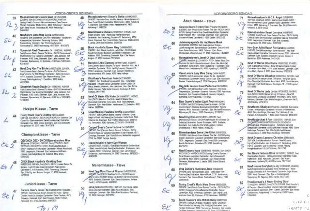 Фотография № 17547