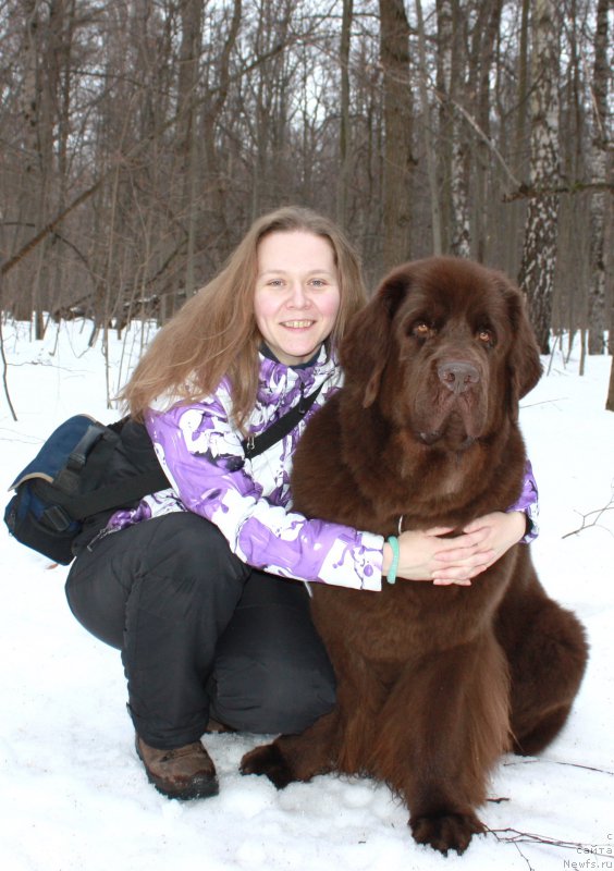 Фотография № 175472