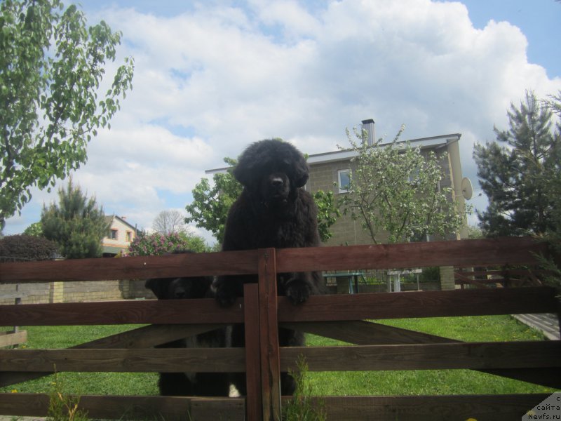 Фотография № 175473