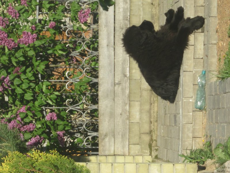 Фото: Наталья Смазчикова