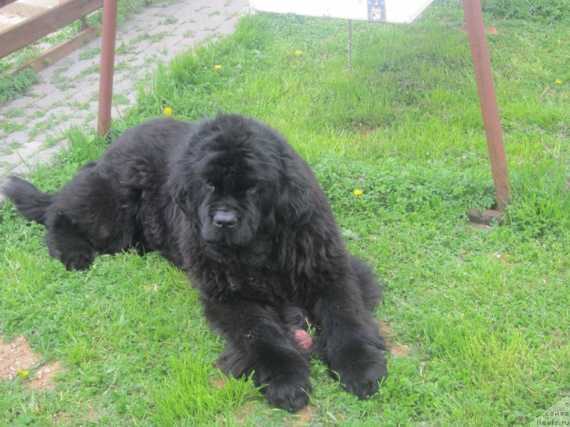 Фото: Наталья Смазчикова