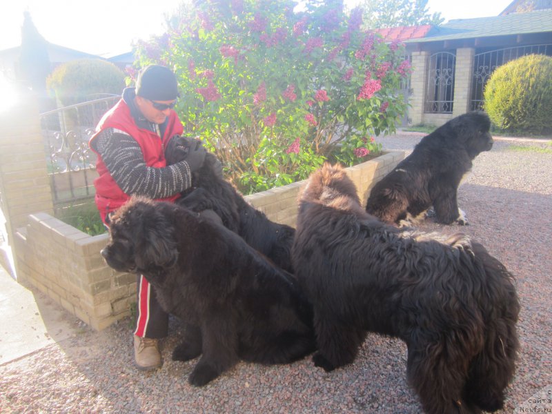 Фотография № 175479