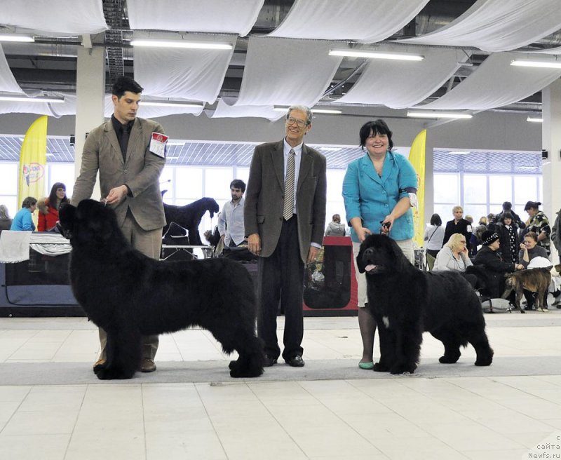 Фотография № 175482