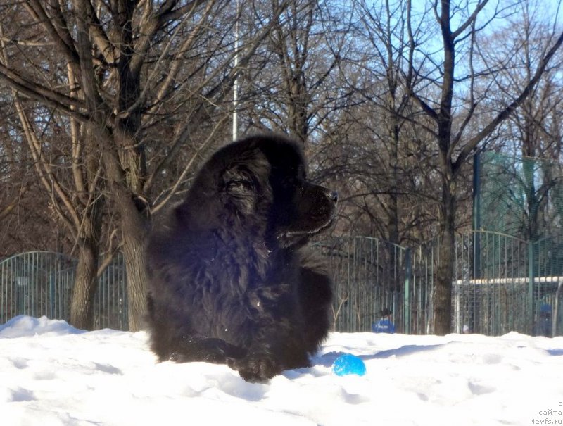 Фотография № 175489