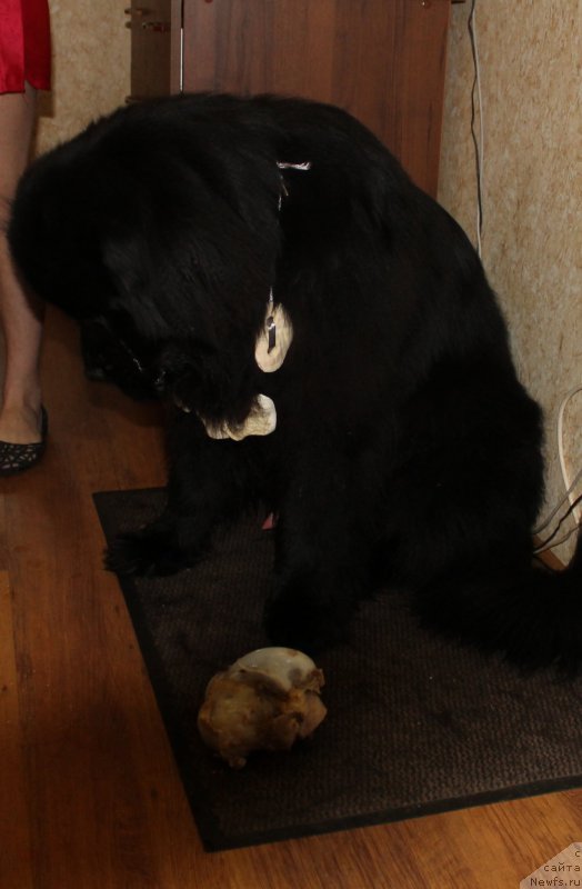 Фотография № 175493