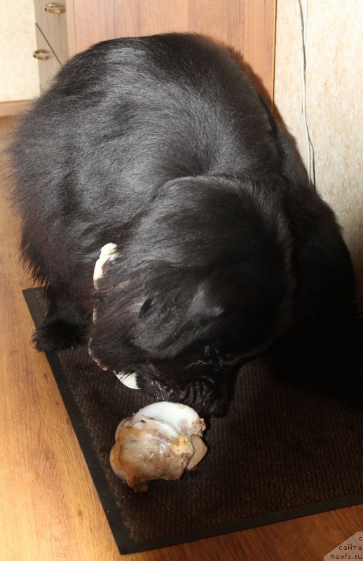 Фотография № 175495