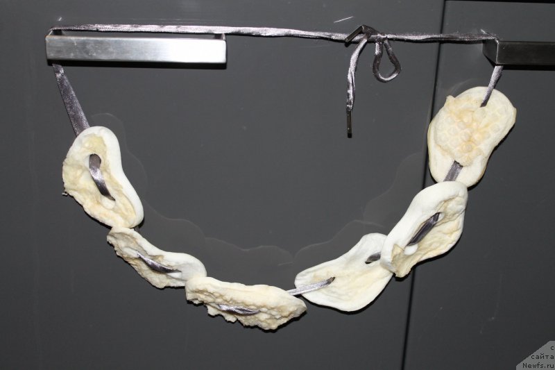 Фотография № 175496