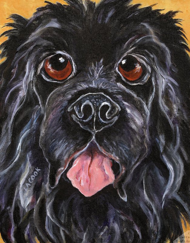 Фотография № 175502