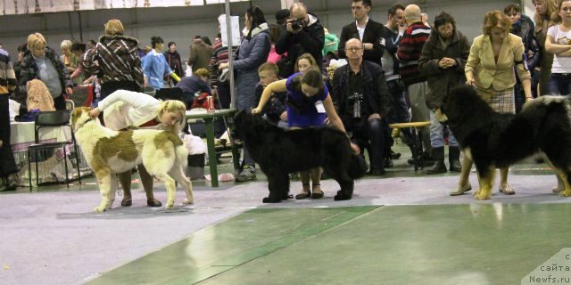 Фотография № 175504