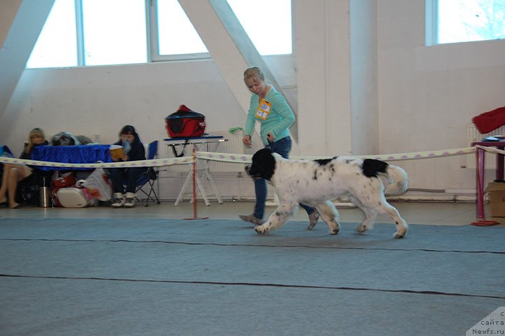 Фотография № 175518