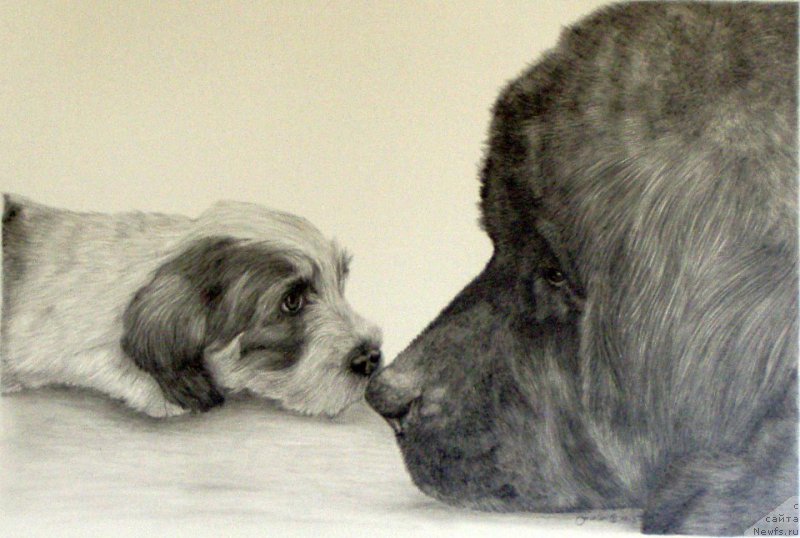 Фотография № 175530