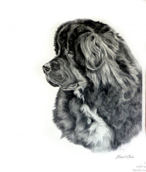 Фотография № 175531