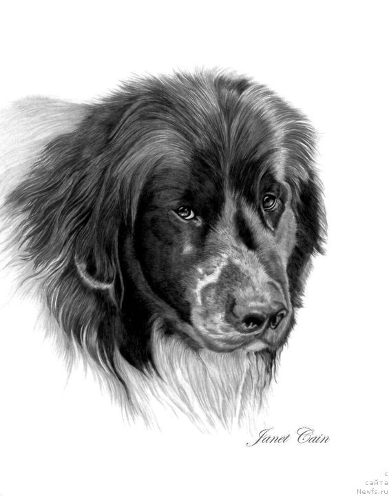 Фотография № 175533