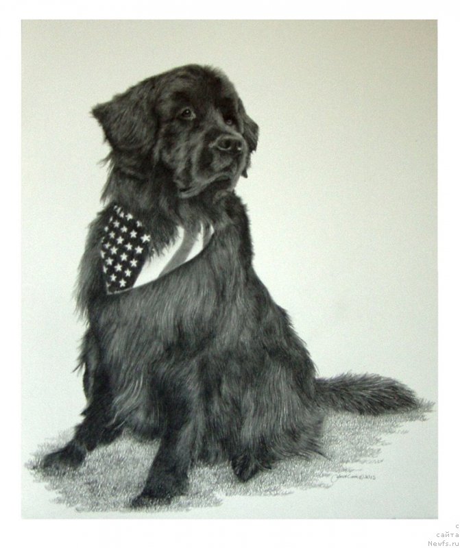 Фотография № 175545