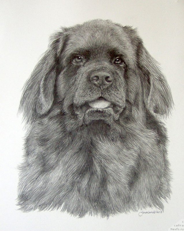 Фотография № 175547