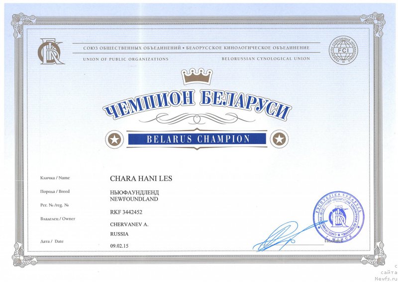 Фото: ньюфаундленд Чара Хани Лес (Chara Hani Les)