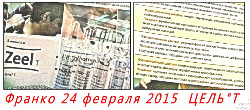 Фотография № 175583