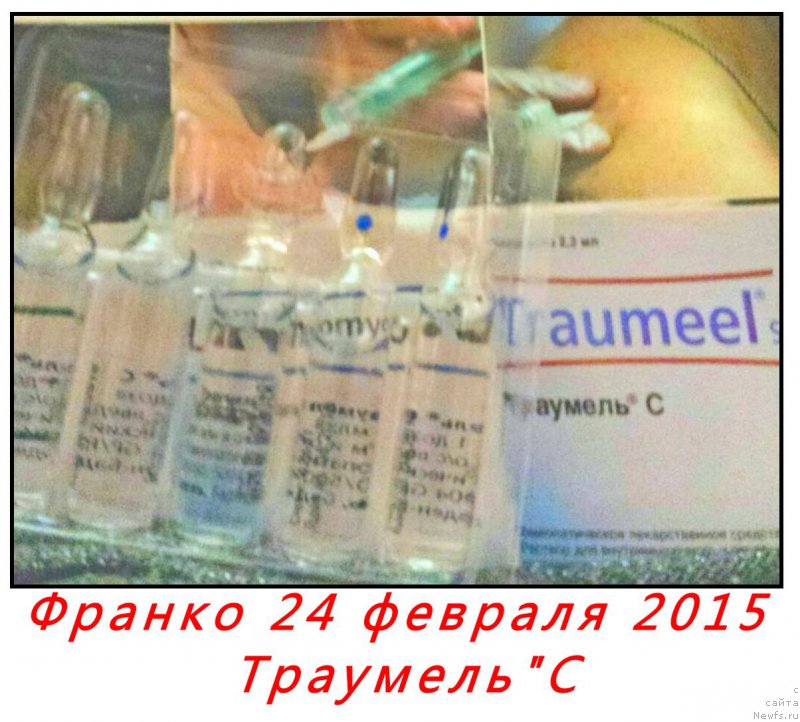 Фотография № 175584