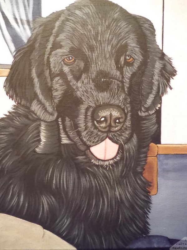 Фотография № 175594